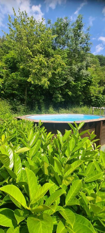 Maison Piscine Villa Saint-Amarin Exterior foto